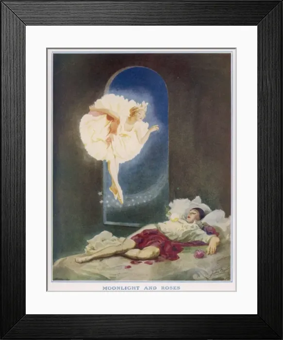 Framed Print : Roses & Moonlight Framed Print : Roses & Moonlight