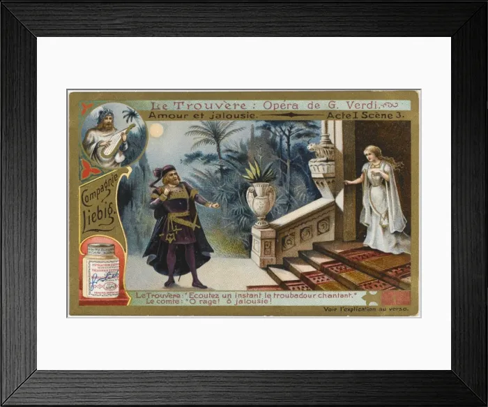 Framed Print : Trovatore - 1 Framed Print : Trovatore - 1