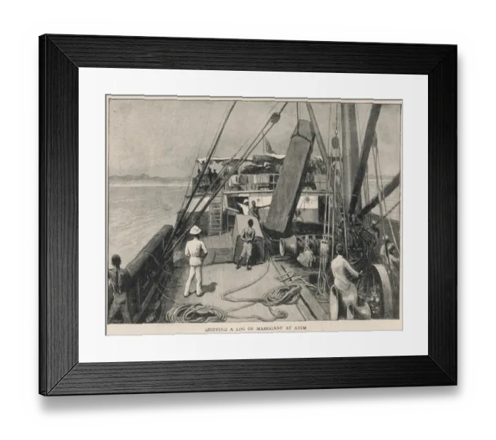 Framed Print : Shipping a Mahogany Log, River Niger Framed Print : Shipping a Mahogany Log, River Niger