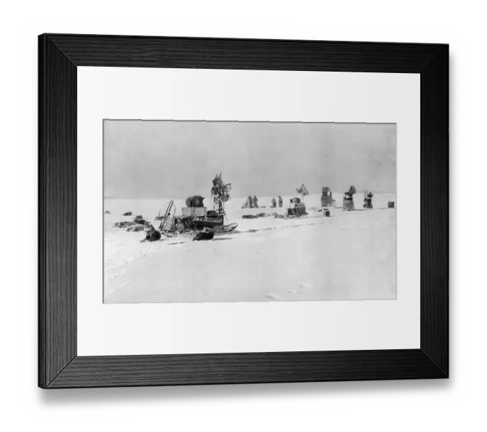 Framed Print : The Amundsen Antarctic Expedition camping on the Level Barri Framed Print : The Amundsen Antarctic Expedition camping on the Level Barri