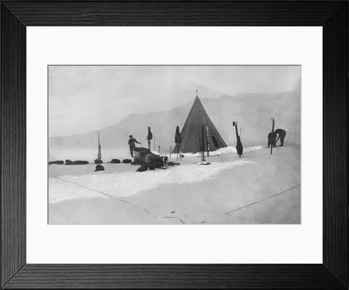 Framed Print : Amundsens Antarctic Expedition pitching camp, 1911 Framed Print : Amundsens Antarctic Expedition pitching camp, 1911