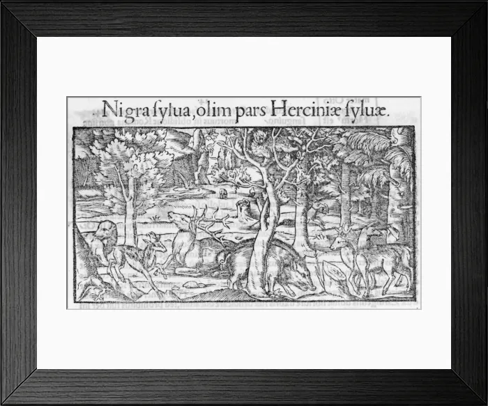 Framed Print : Germany Schwarzwald