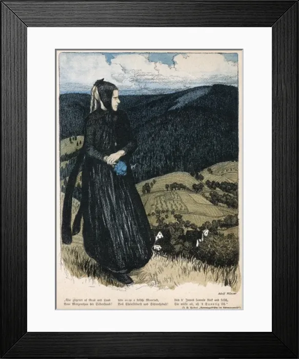 Framed Print : Germany Schwarzwald Framed Print : Germany Schwarzwald