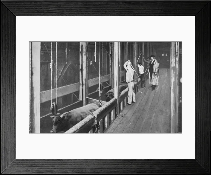 Framed Print : Chicago Stockyards 6 Framed Print : Chicago Stockyards 6
