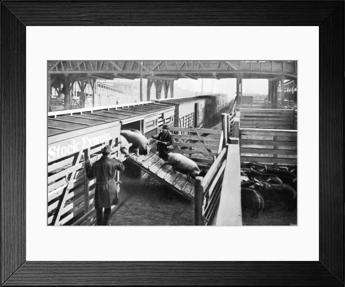 Framed Print : Chicago Stockyards 3 Framed Print : Chicago Stockyards 3