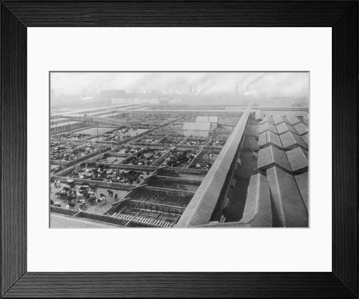 Framed Print : Chicago Stockyards 4 Framed Print : Chicago Stockyards 4