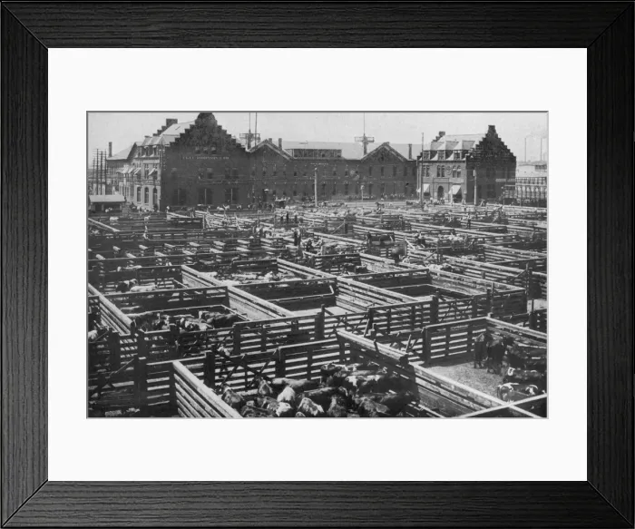 Framed Print : Chicago Stockyards 5 Framed Print : Chicago Stockyards 5