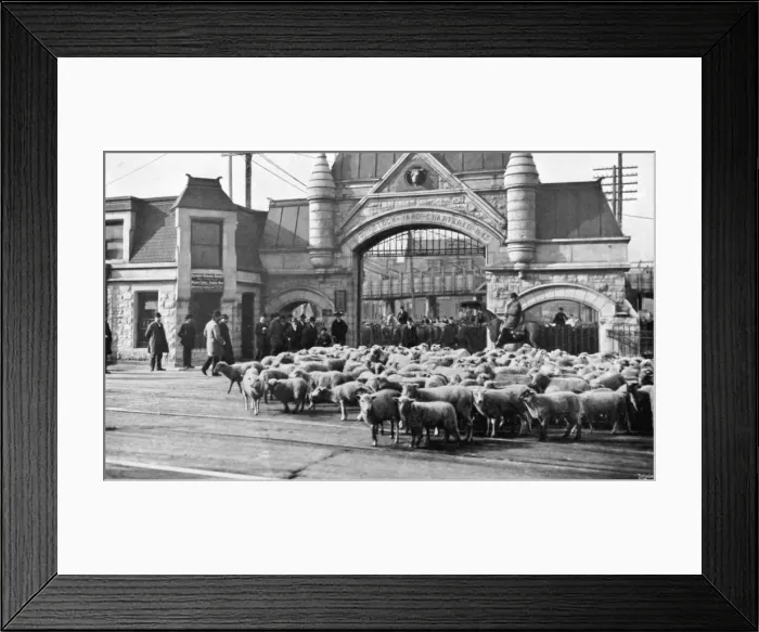 Framed Print : Chicago Stockyards 2 Framed Print : Chicago Stockyards 2