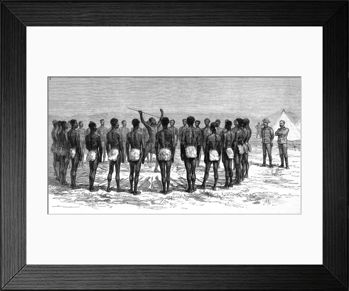 Framed Print : The Zulu war. Zulu ceremony Framed Print : The Zulu war. Zulu ceremony