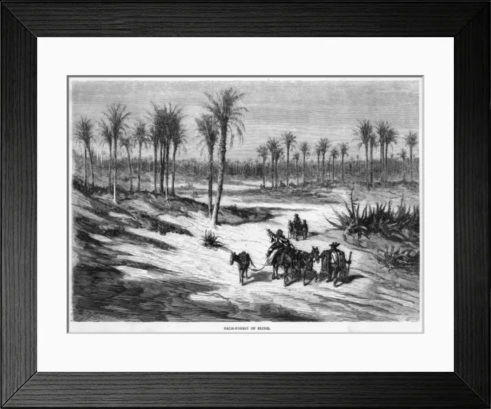 Framed Print : Spain Elche Framed Print : Spain Elche