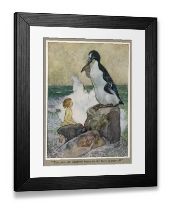 Framed Print : Tom and the Gairfowl Framed Print : Tom and the Gairfowl