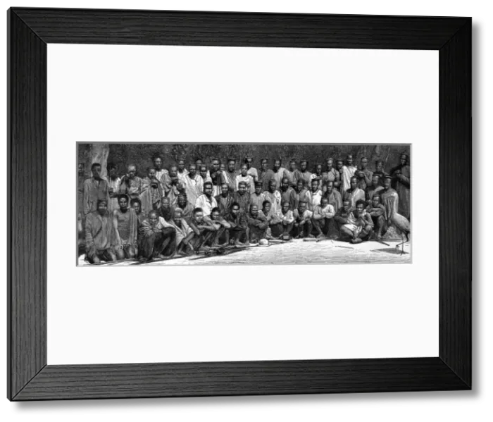 Framed Print : Zulu wars. The restoration of Cetshwayo Framed Print : Zulu wars. The restoration of Cetshwayo