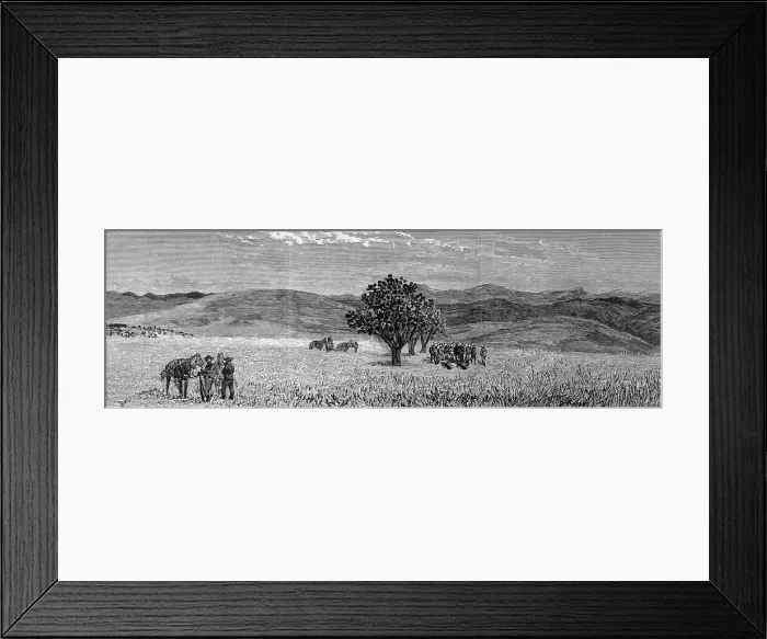 Framed Print : The Zulu war. Funeral of Lieutenant Scott Douglas and Corpor Framed Print : The Zulu war. Funeral of Lieutenant Scott Douglas and Corpor