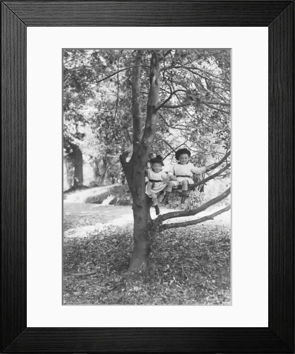 Framed Print : Young Children in a Tree Framed Print : Young Children in a Tree