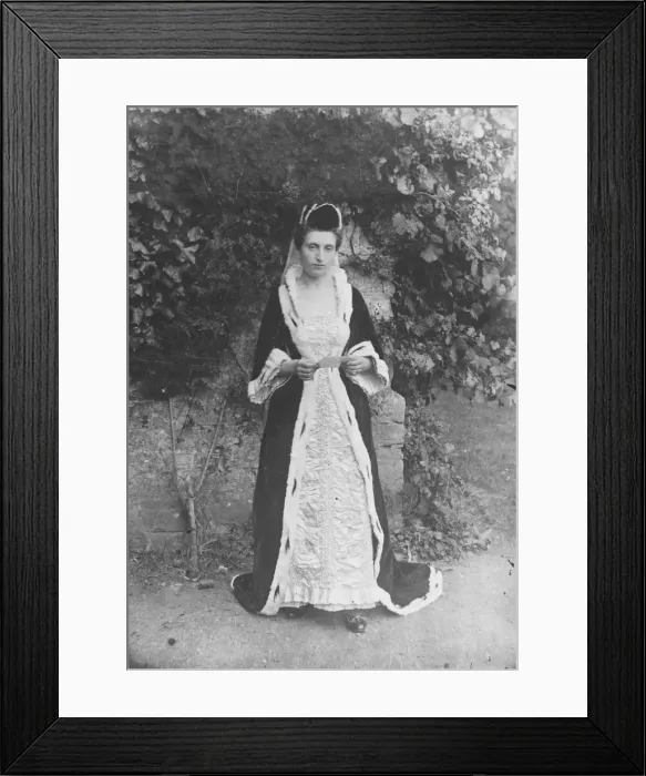 Framed Print : Lady in Fine Fancy Dress Framed Print : Lady in Fine Fancy Dress