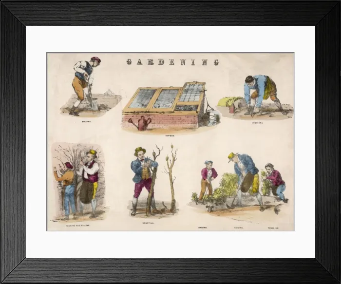 Framed Print : Gardening Tasks Framed Print : Gardening Tasks