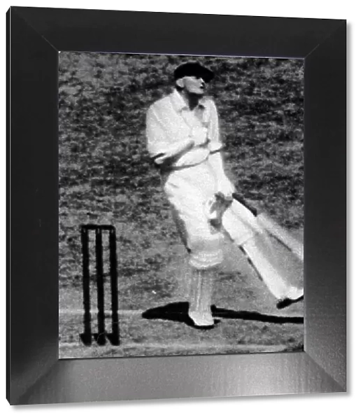 W. M. Woodfull struck by a cricket ball, Melbourne Cricket Gr