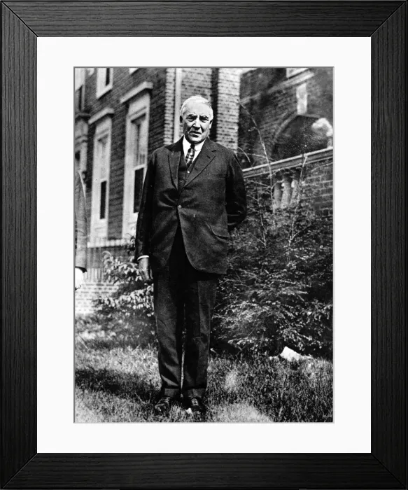 Framed Print : Warren G. Harding (1865-1923) Framed Print : Warren G. Harding (1865-1923)