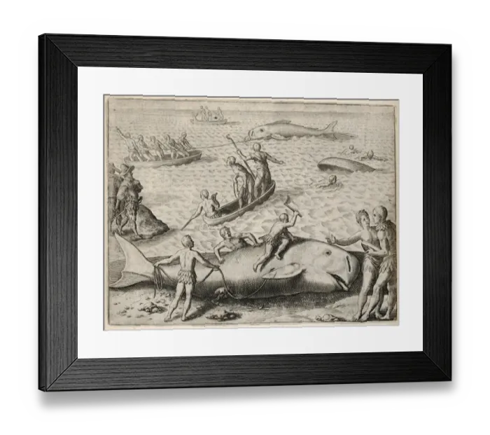 Framed Print : Whaling in Canada Framed Print : Whaling in Canada