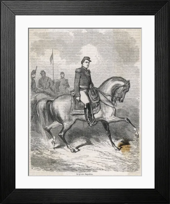 Framed Print : Jcp Bonaparte / Horseback Framed Print : Jcp Bonaparte / Horseback