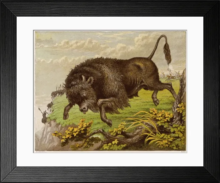 Framed Print : Buffalo (Kronheim) 1869 Framed Print : Buffalo (Kronheim) 1869