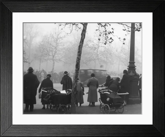 Framed Print : Nannies / The Mall / London Framed Print : Nannies / The Mall / London