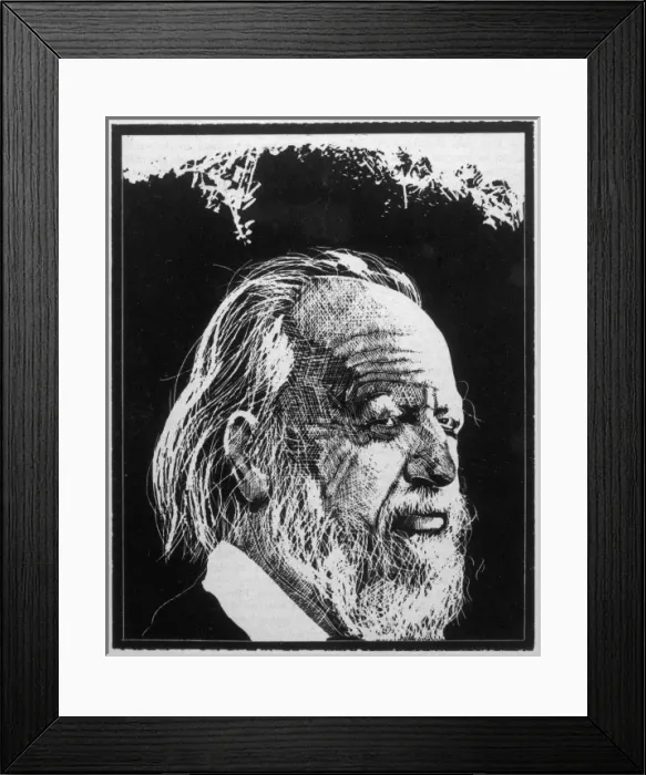 Framed Print : William Gerald Golding / 2 Framed Print : William Gerald Golding / 2