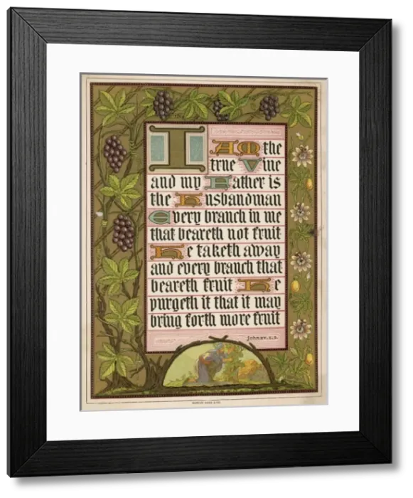 Framed Print : JOHN XV: 1, 2 Framed Print : JOHN XV: 1, 2