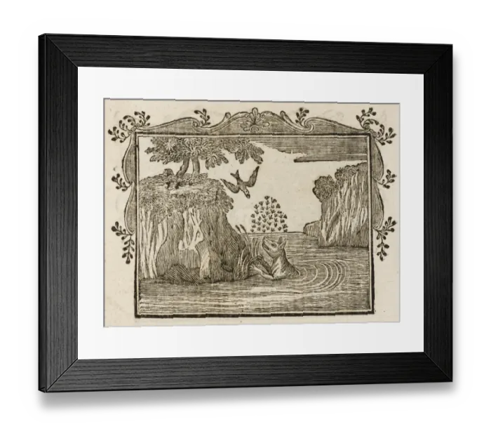 Framed Print : Fable / Fox & Swallow Framed Print : Fable / Fox & Swallow