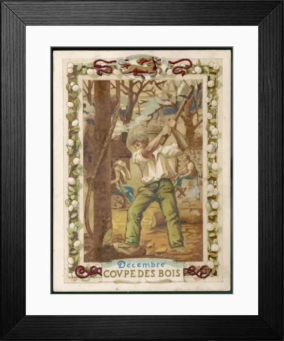 Framed Print : Seasons / December / Trees Framed Print : Seasons / December / Trees