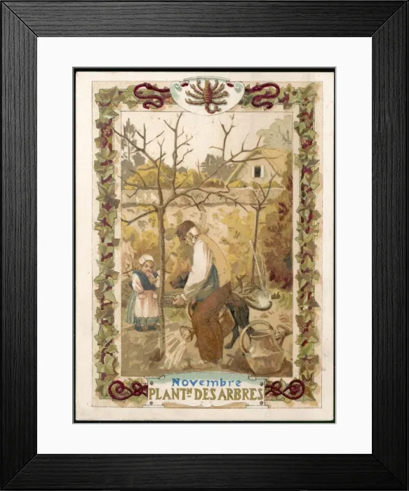 Framed Print : Seasons / November / Trees Framed Print : Seasons / November / Trees