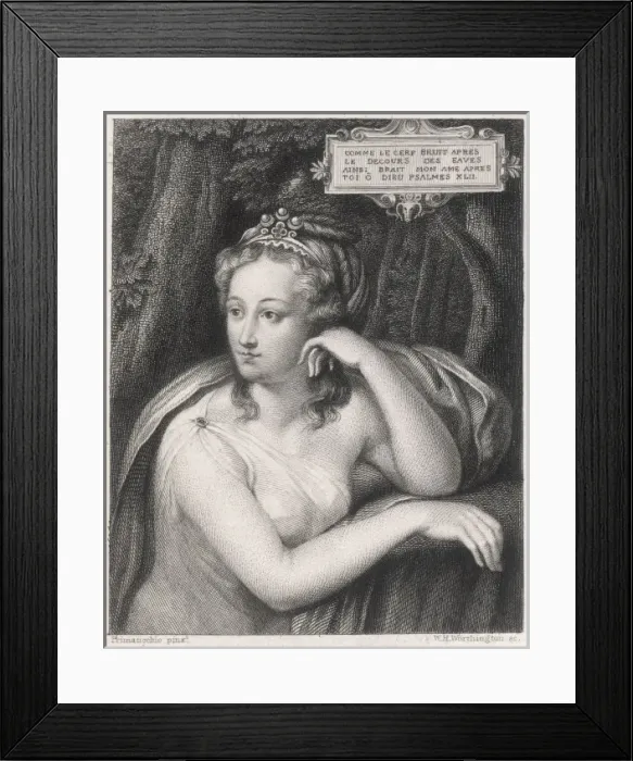Framed Print : Diane De Poitiers / Clothe Framed Print : Diane De Poitiers / Clothe
