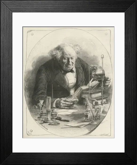 Framed Print : Chevreul / Andrielli / Ils Framed Print : Chevreul / Andrielli / Ils