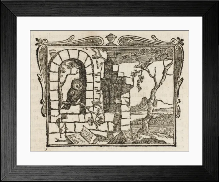 Framed Print : Fable / Owl & Nightingale Framed Print : Fable / Owl & Nightingale