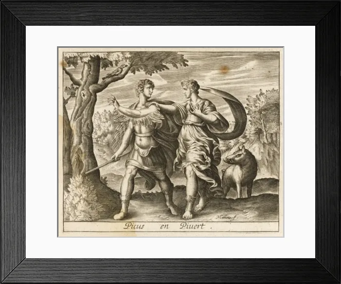 Framed Print : Picus into a Magpie Framed Print : Picus into a Magpie