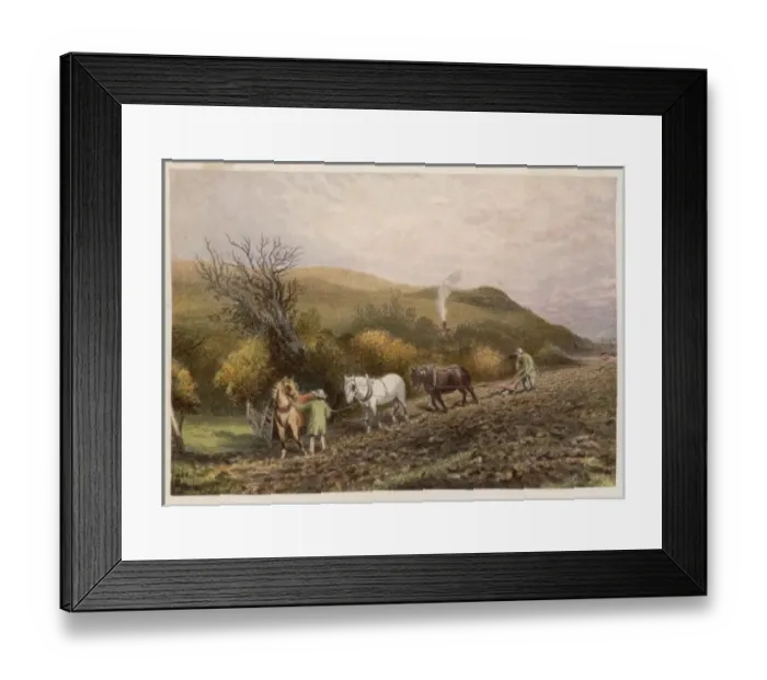 Framed Print : Plough with 3 Horses Framed Print : Plough with 3 Horses