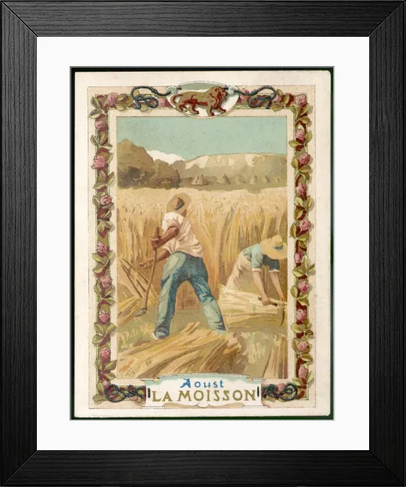 Framed Print : Seasons / August / Harvest Framed Print : Seasons / August / Harvest