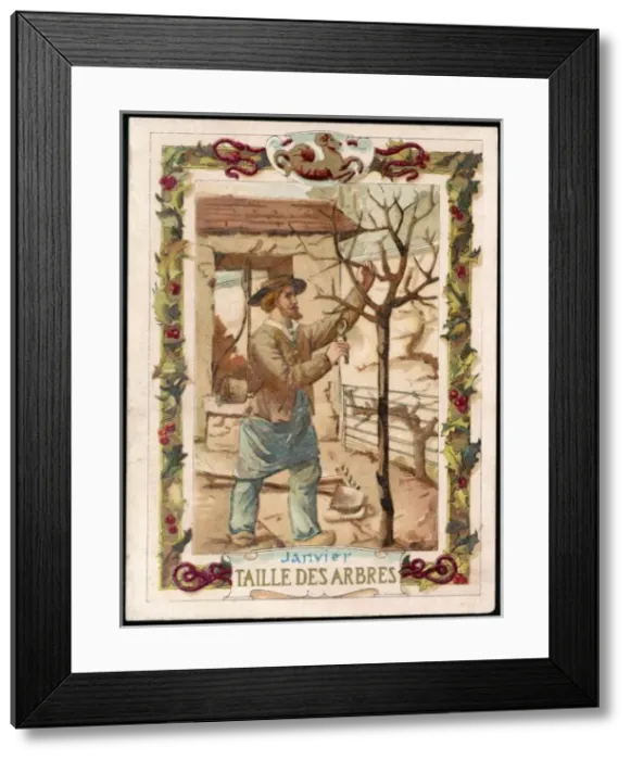 Framed Print : Seasons / January / Pruning Framed Print : Seasons / January / Pruning