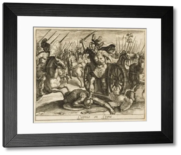 Framed Print : Cygnus into Swan Framed Print : Cygnus into Swan
