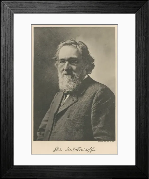 Framed Print : Metchnikoff / Nobel 1908 Framed Print : Metchnikoff / Nobel 1908