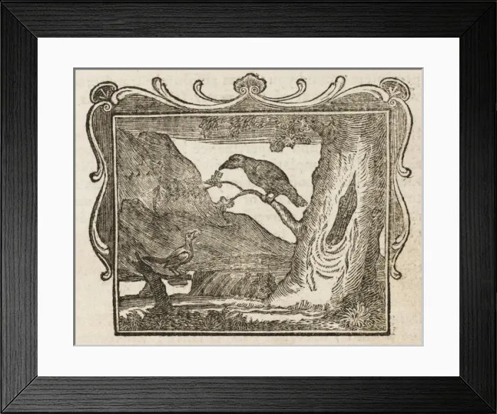 Framed Print : Fable / Magpie & Raven Framed Print : Fable / Magpie & Raven