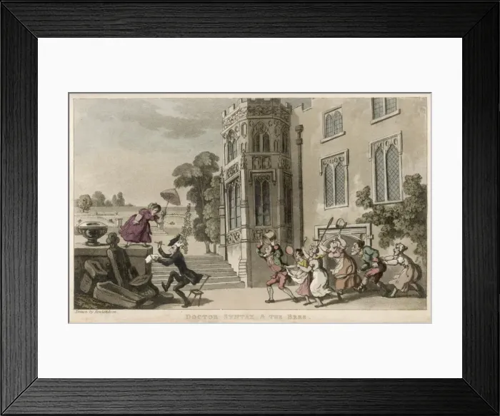 Framed Print : Dr Syntax / Bees / 2nd Tour Framed Print : Dr Syntax / Bees / 2nd Tour