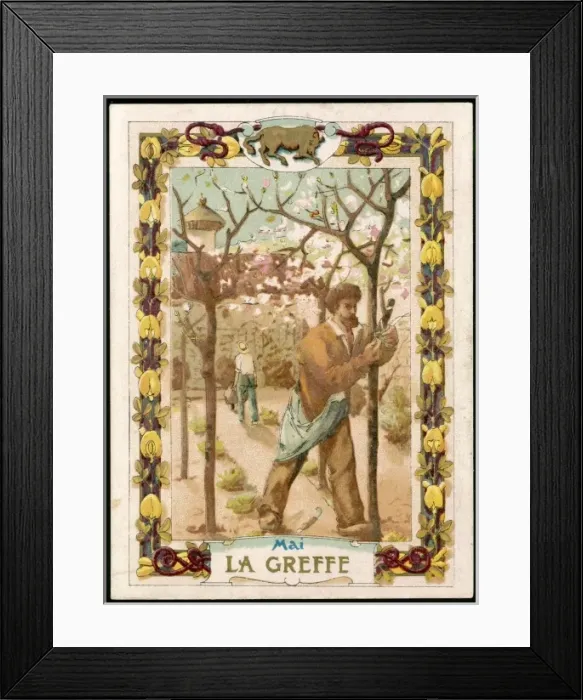 Framed Print : Seasons / May / Grafting Framed Print : Seasons / May / Grafting