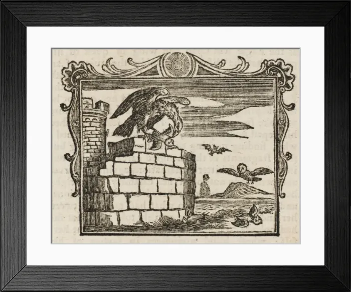 Framed Print : Fable / Eagle & Owl Framed Print : Fable / Eagle & Owl