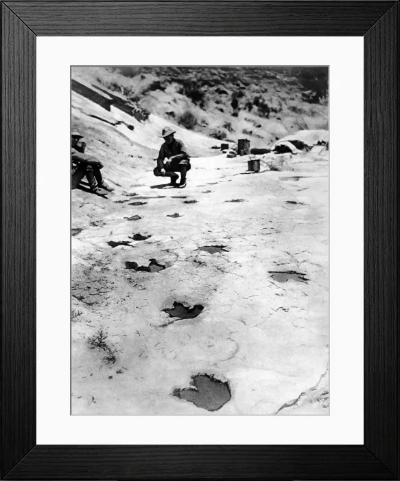 Framed Print : Dinosaur footprints found in the hills of Arizona Framed Print : Dinosaur footprints found in the hills of Arizona
