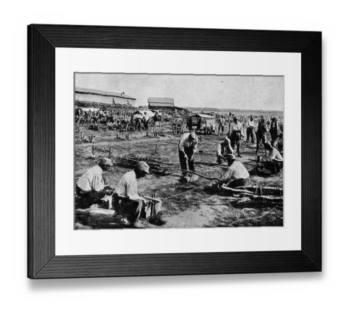 Framed Print : Making barbed wire entanglements Framed Print : Making barbed wire entanglements