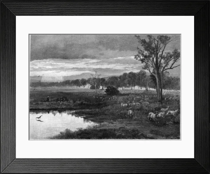 Framed Print : Australia Darling Downs Framed Print : Australia Darling Downs