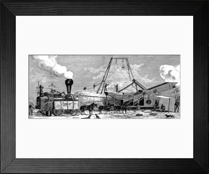 Framed Print : America. Wheat Farming in California. July: threshing Framed Print : America. Wheat Farming in California. July: threshing