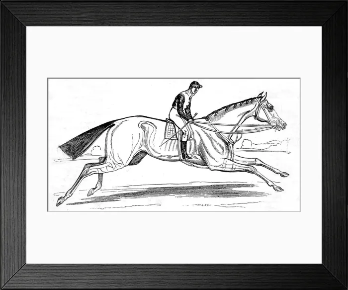 Framed Print : The Racehorse Beeswing, 1842 Framed Print : The Racehorse Beeswing, 1842