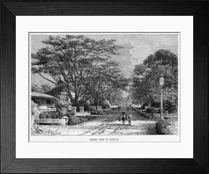 Framed Print : Indonesia Java Framed Print : Indonesia Java